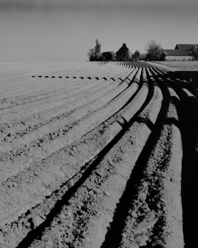 Black and white analogue photograpy by Jeroen Busschers of Belgium farmland