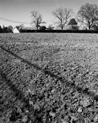 Analogue black and white photography by Jeroen Busschers of a Belgium farm field