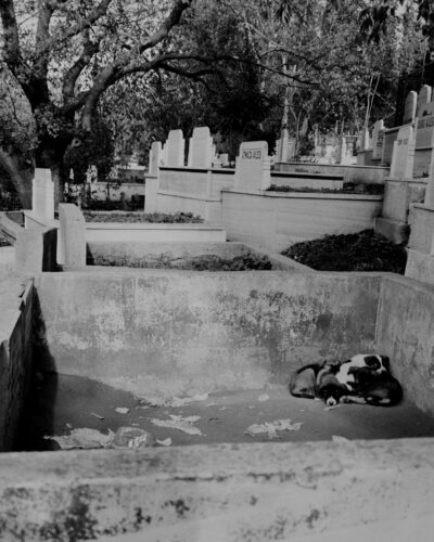 Analogue black and white photography by Jeroen Busschers of Eyüp cemetery, Istanbul.