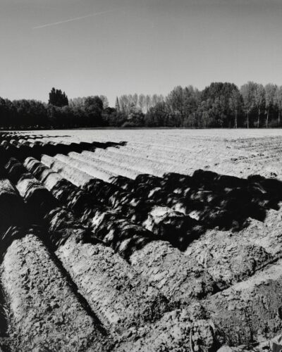 Analogue black and white photography by Jeroen Busschers of a Belgium farm field