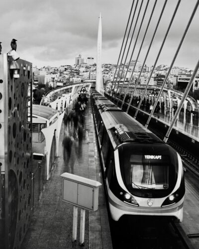 Analogue black and white photography by Jeroen Busschers, birds in Istanbul.