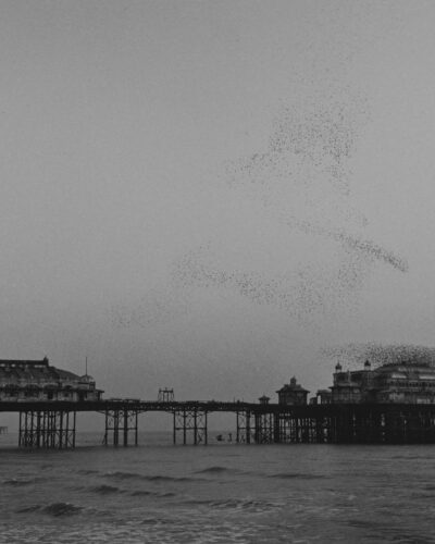 Analogue fil photography of a starling murmuration over the historic Brighton West Pier before the fire, England, by Jeroen Busschers