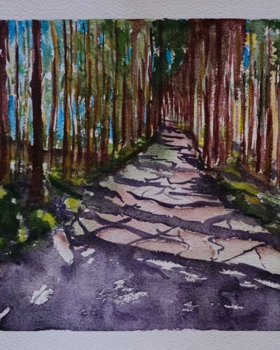 En plein air watercolor painting series featuring original fine art landscapes of nature.