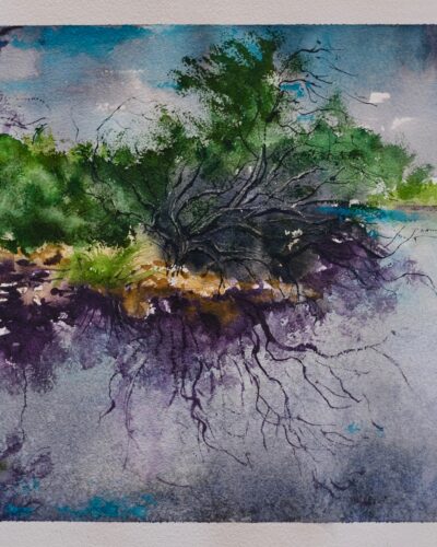 En plein air watercolor painting series featuring original fine art landscapes of nature.