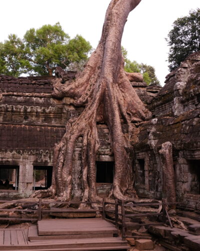 Fine art street and travel photography from Cambodia, Photography by Jeroen Busschers.